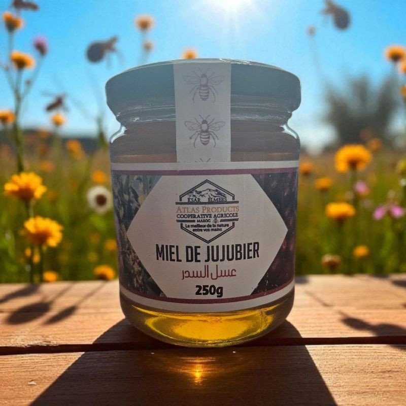 Miel de Jujubier – nectar de sédar marocain