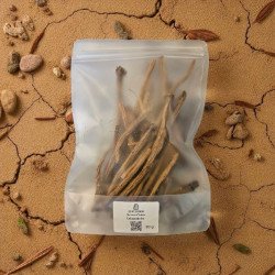 Takandicht – racines médicinales