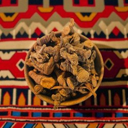 Racine de Galanga – plante digestive