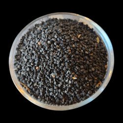 Chdouq Jmel – plante traditionnelle