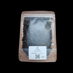 Chdouq Jmel – plante traditionnelle