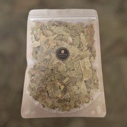 Feuilles de Neem – plante purifiante