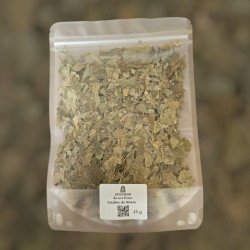 Feuilles de Neem – plante purifiante