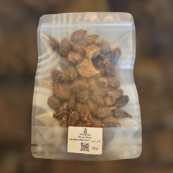 Cardamome noire – épice intense