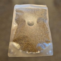 Chih Armoise purification ésotérique rituel protectercteur