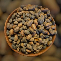 Graines de Ricin – purification, protection, spiritualité