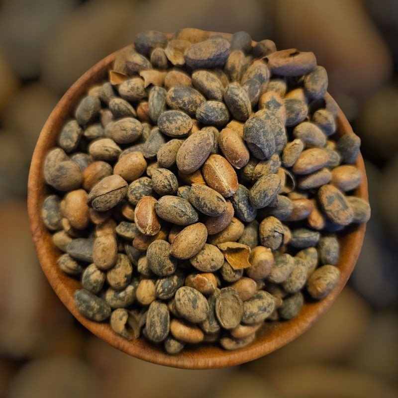 Graines de Ricin – purification, protection, spiritualité