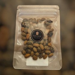 Graines de Ricin – purification, protection, spiritualité