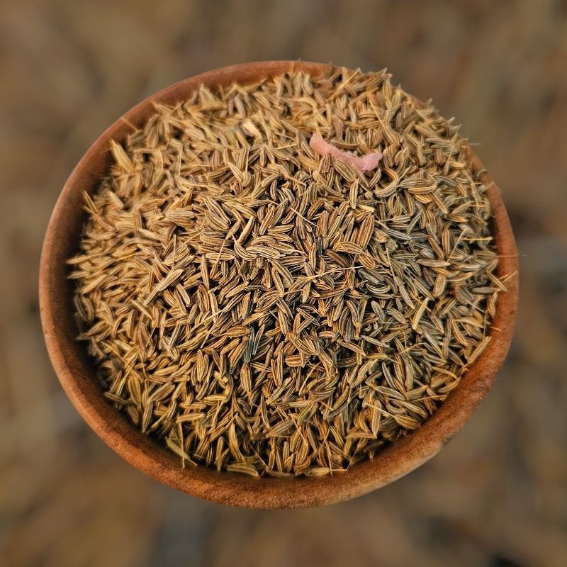 Carvi – Karwiya : graines digestives, énergétiques et rituelles