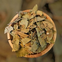 Feuilles de laurier – purification et protection