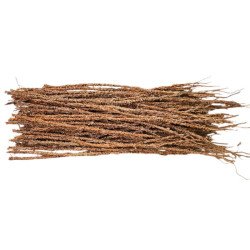 Khamaré vétiver – racine médicinale et rituel africain